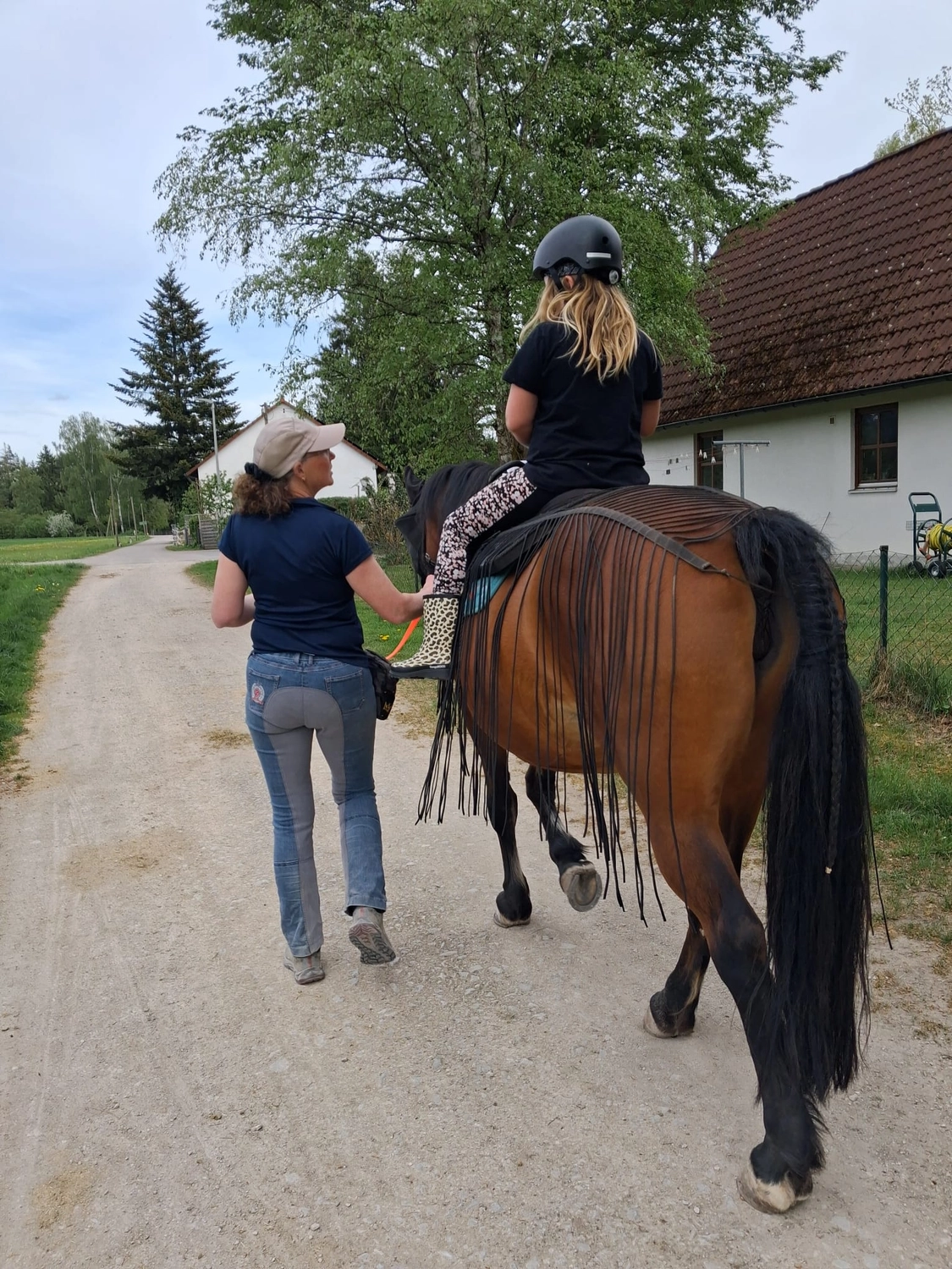 Seelenanker Pferde - Pferdetrainer und Reitpädagoge - Reitlehrer gibt Reitunterricht