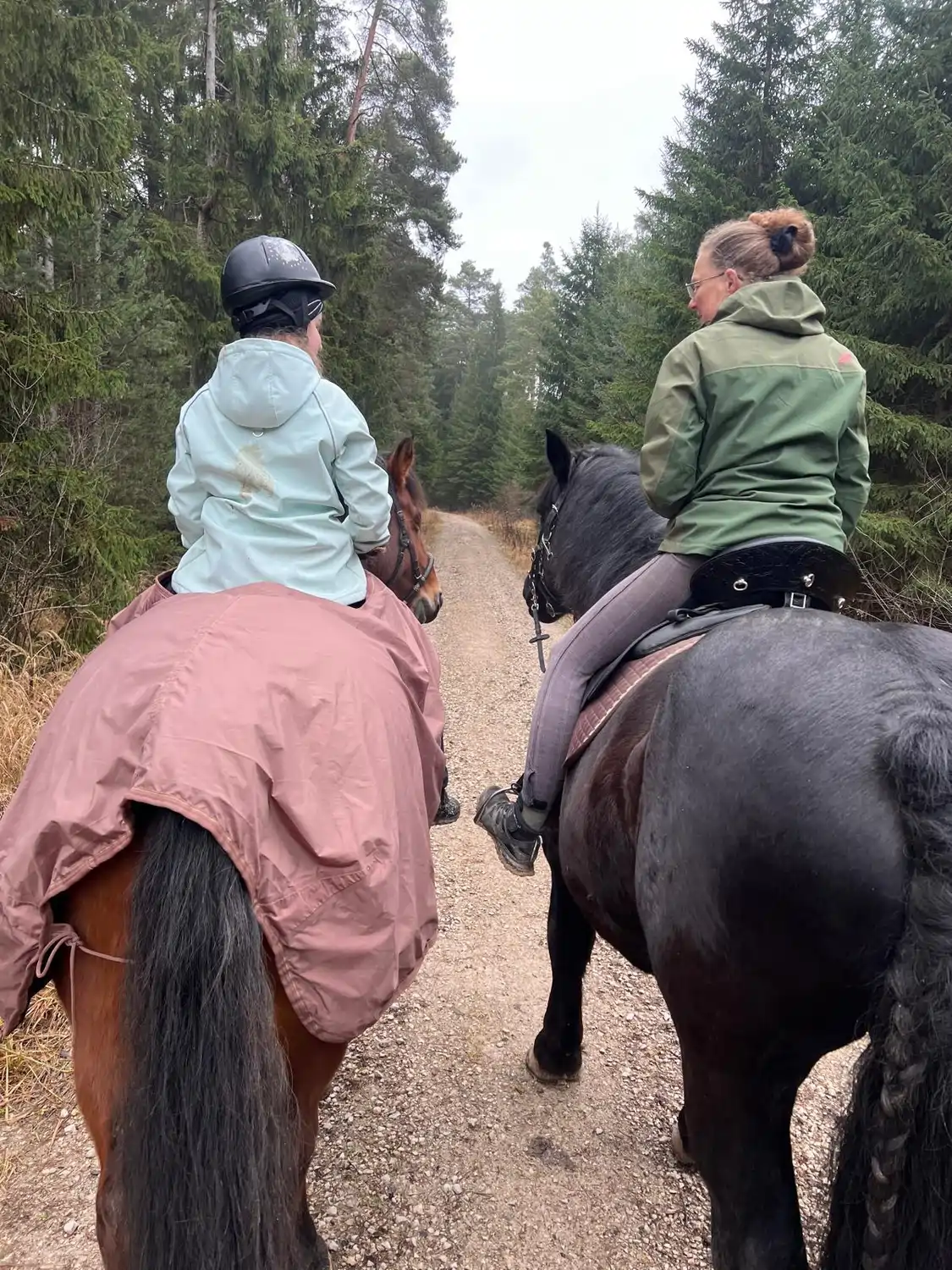 Seelenanker Pferde - Pferdetrainer und Reitpädagoge - Reitlehrer gibt Reitunterricht